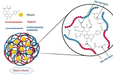 Nghiên cứu quy trình công nghệ chế tạo nanovitexin làm nguyên liệu sản xuất thực phẩm bảo vệ sức khỏe hỗ trợ trong phòng và điều trị bệnh tiểu đường
