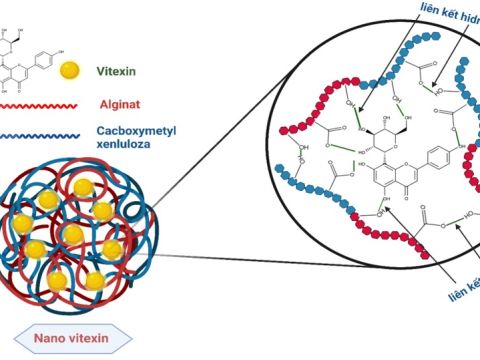 Nghiên cứu quy trình công nghệ chế tạo nanovitexin làm nguyên liệu sản xuất thực phẩm bảo vệ sức khỏe hỗ trợ trong phòng và điều trị bệnh tiểu đường