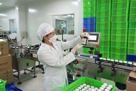 Phát triển thành công LOHHA Trí Não NEW - sản phẩm hỗ trợ tăng trí nhớ