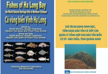 Viện Khoa học công nghệ Năng lượng và Môi trường – Đơn vị tiên phong trong nghiên cứu và chuyển giao công nghệ biển, phát triển bền vững kinh tế biển tỉnh Quảng Ninh