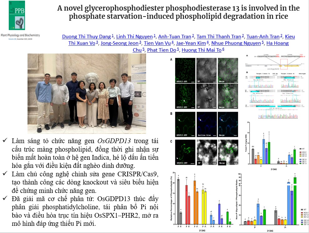 congtrinhxuatsac2025 6