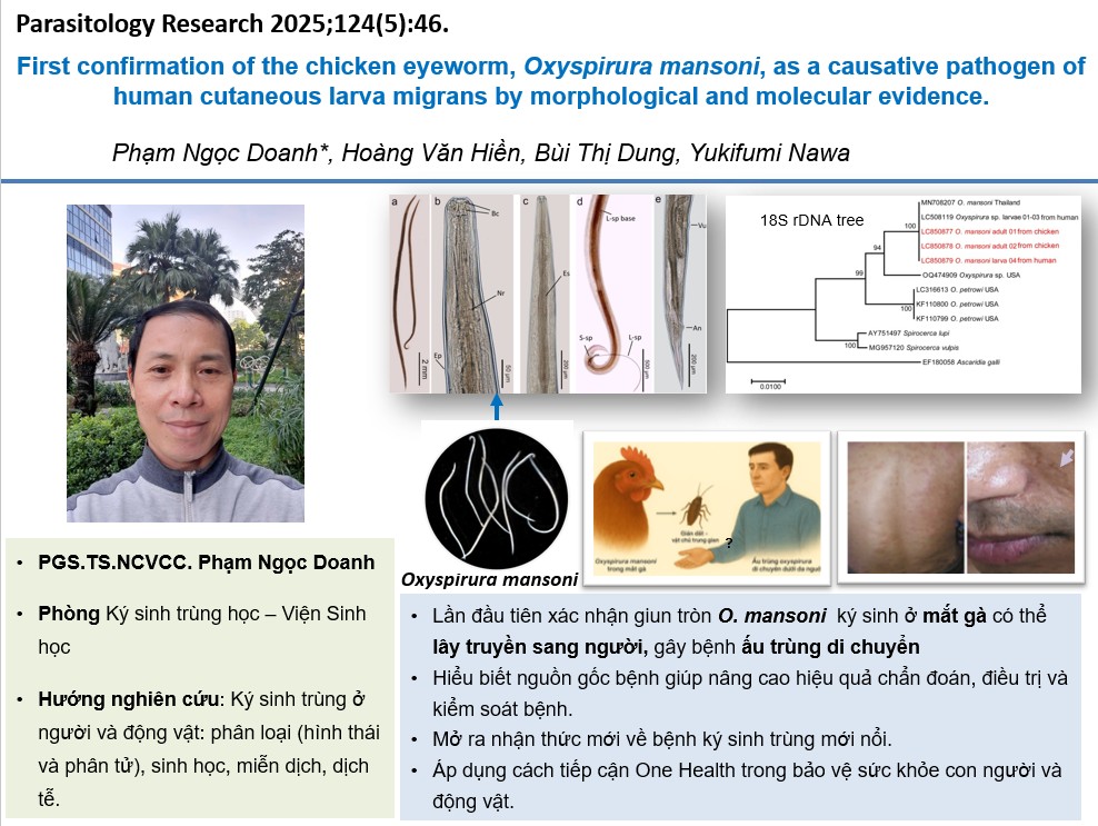 congtrinhxuatsac2025 8